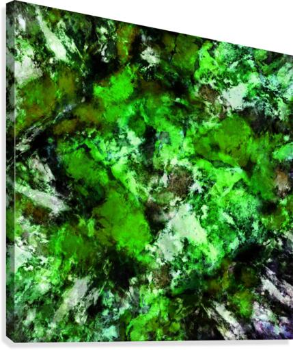 Impulse 2 Canvas Print