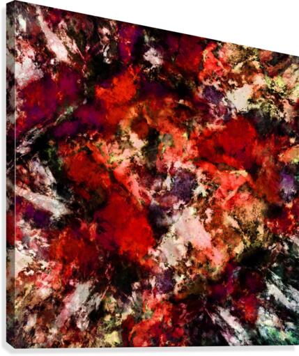 Impulse 3 Canvas Print