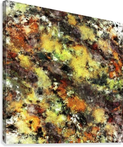 Leaning strata Canvas Print