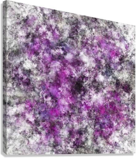 Meditator Canvas Print