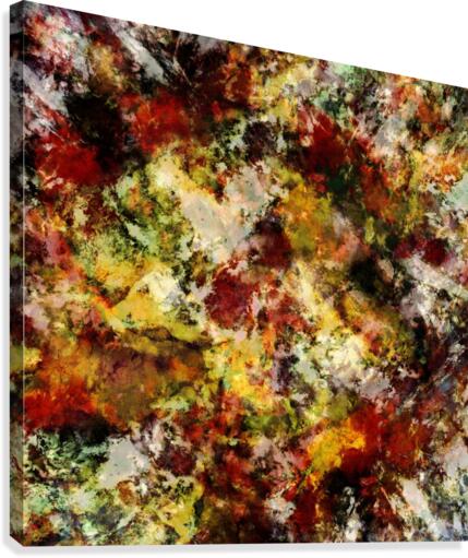 Push Canvas Print