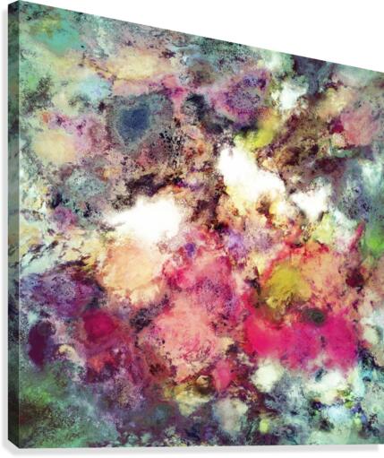 Raspberry rocks Canvas Print