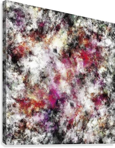 Rescue Canvas Print