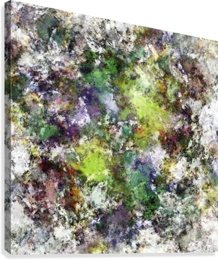 Scratching the surface Canvas Print
