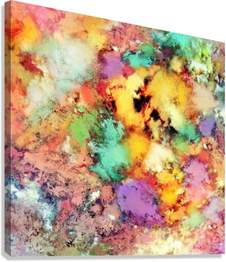Shape shifting Canvas Print