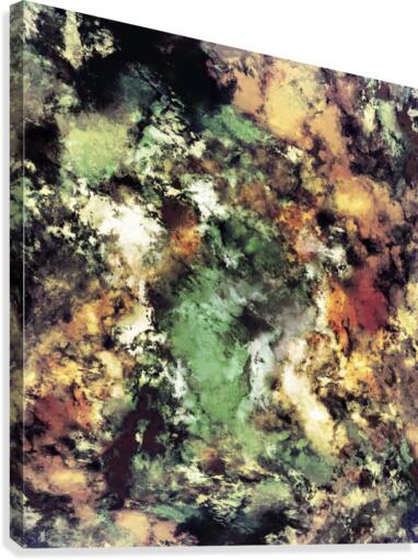 Slide Canvas Print