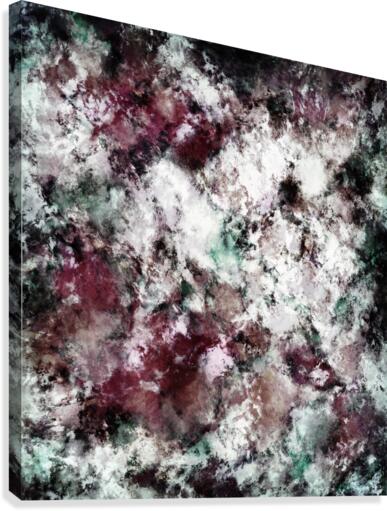 Snowcap Canvas Print