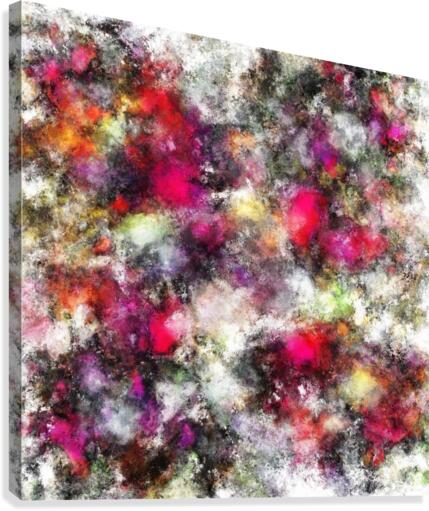 Spin Canvas Print