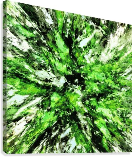 Splash Canvas Print