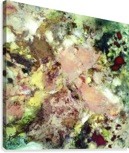 Sugar coated Canvas Print