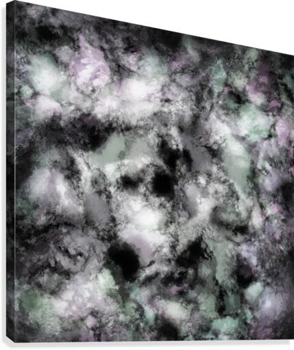 The believable Canvas Print