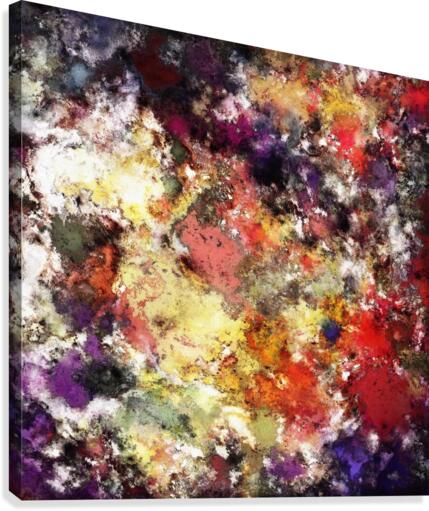 The raw truth Canvas Print