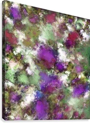 Threshold Canvas Print