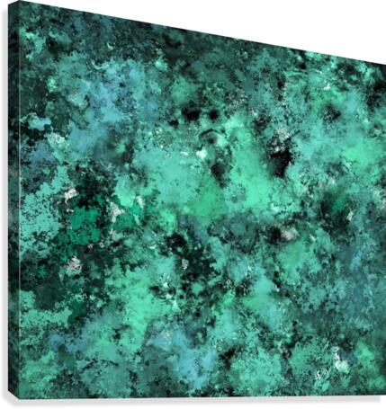 Decompose Canvas Print