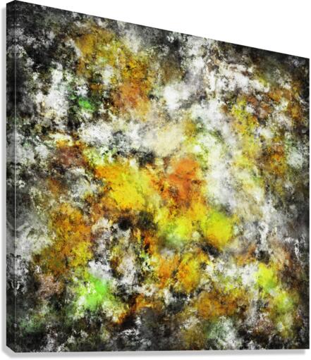Winter sunlight Canvas Print
