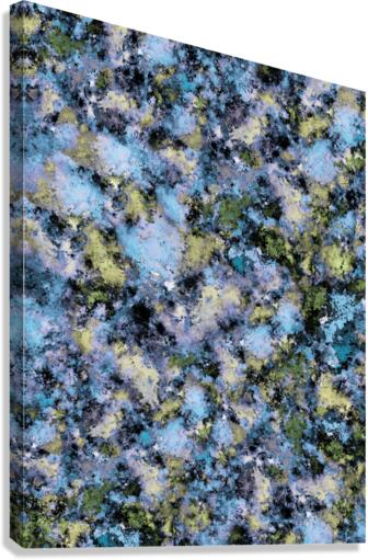 Glance Canvas Print