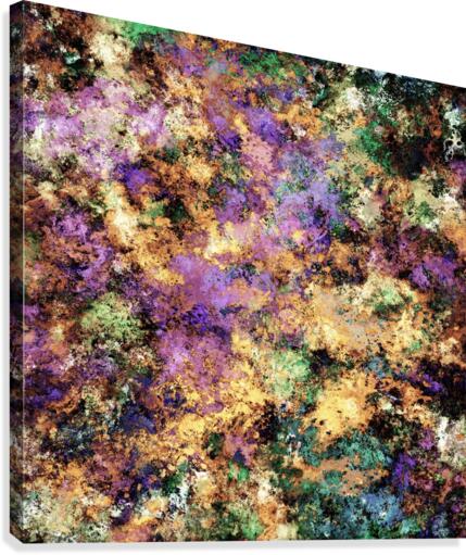 Wet stone Canvas Print