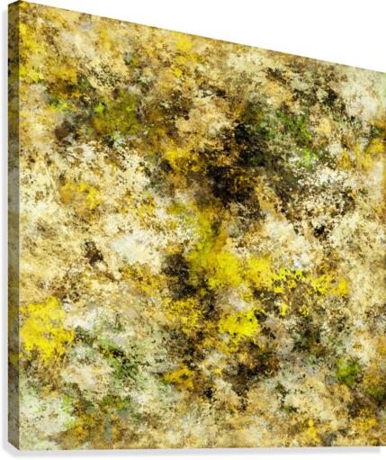 Finding yellow rocks Canvas Print