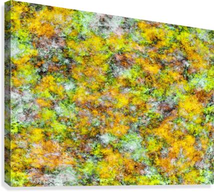 Scrambled eggs Canvas Print