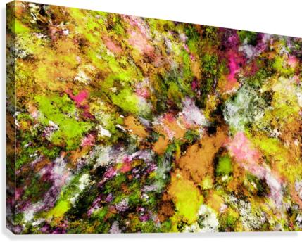 Damage Canvas Print