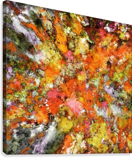 Trip switch Canvas Print