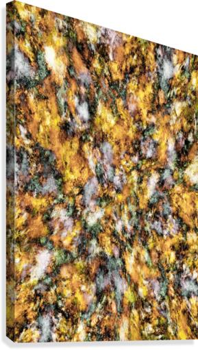 The flow Canvas Print