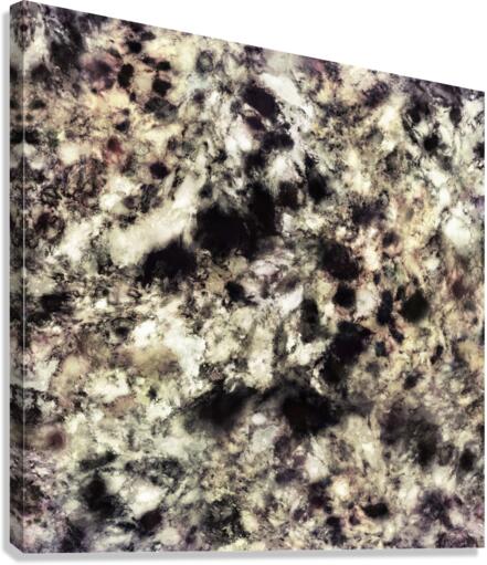 Only Canvas Print