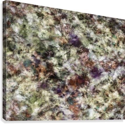 A ghostly reminder Canvas Print
