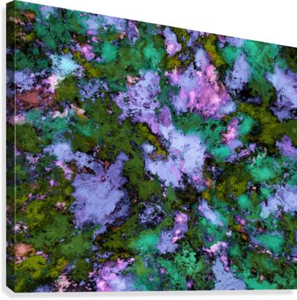 Scatter Canvas Print