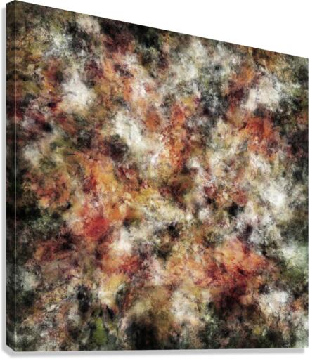 Adjustments Canvas Print