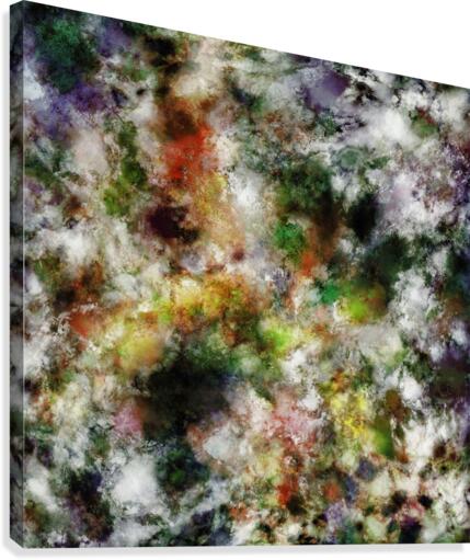 Ghost story Canvas Print