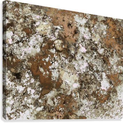 Frosted sand Canvas Print