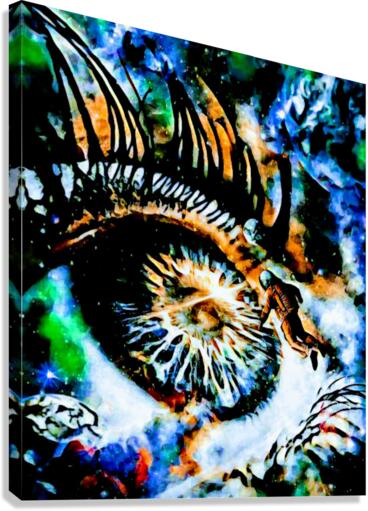 space eye Canvas Print