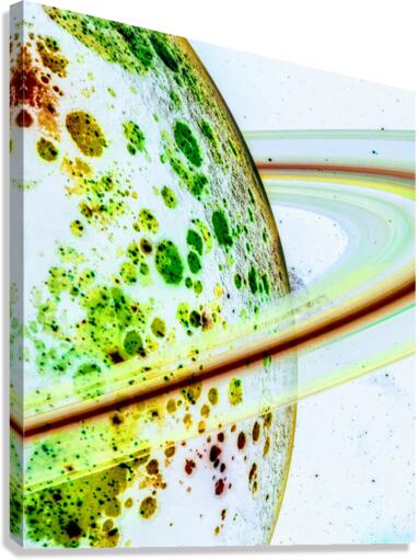 Volippe Canvas Print