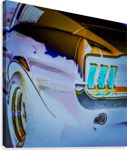vroooooom Canvas Print
