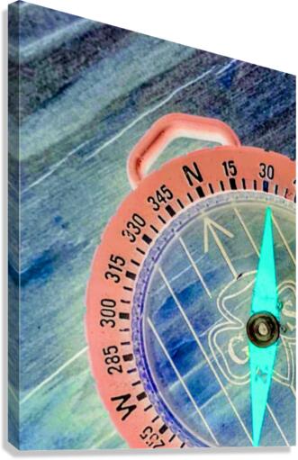 neon compass Canvas Print