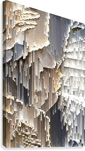 abstract wings Canvas Print