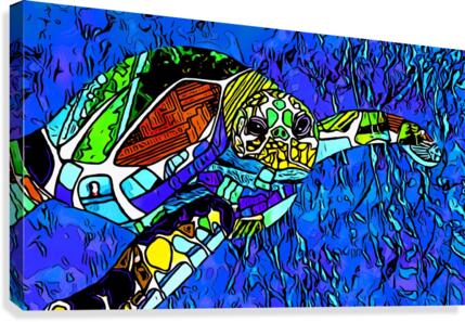 turtle Canvas Print