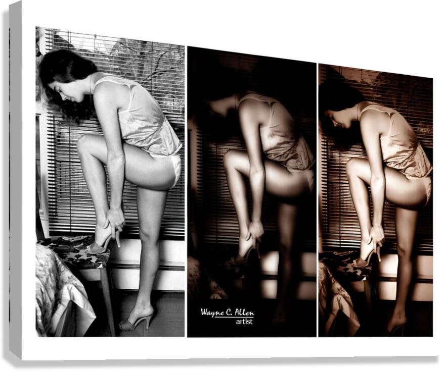 Stockings Tripled  Canvas Print