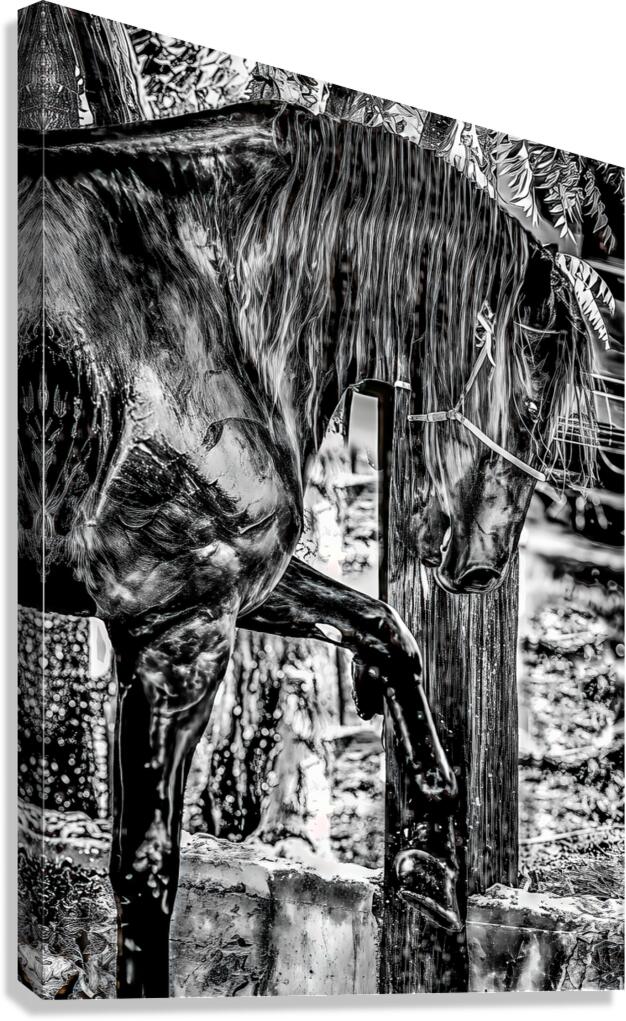 untitled 5 Canvas Print