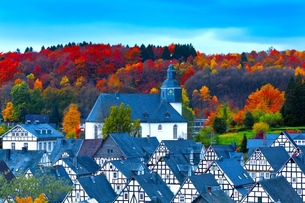 FREUDENBERG 01 Print