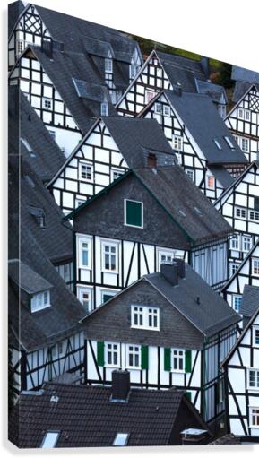FREUDENBERG 02 Canvas Print