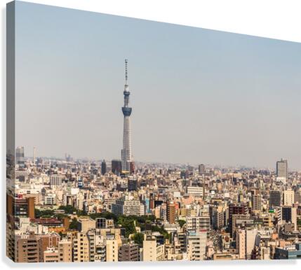 TOKYO 35 Canvas Print