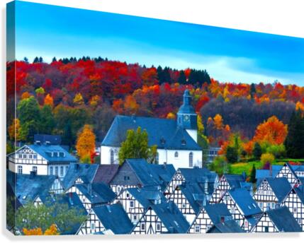 FREUDENBERG 01 Canvas Print