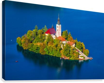 BLED 03 Canvas Print