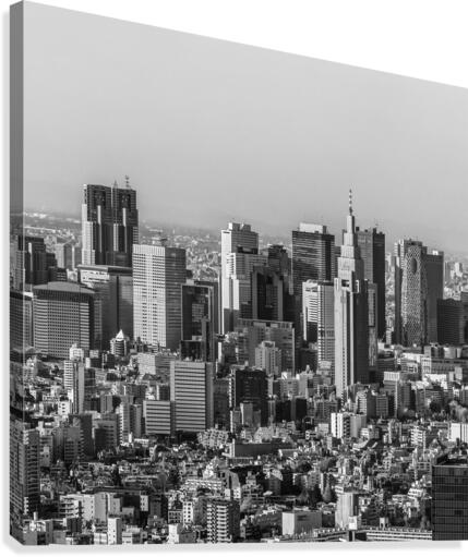 TOKYO 17 Canvas Print