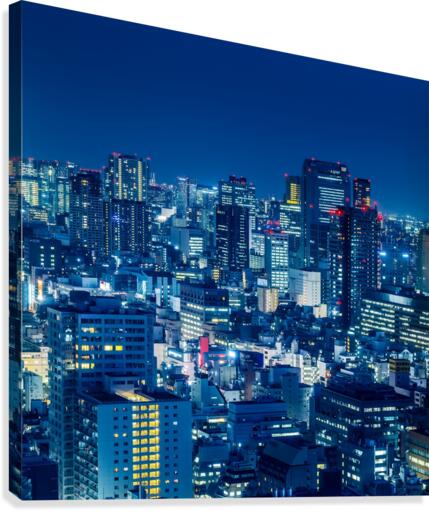 TOKYO 19 Canvas Print