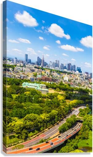 TOKYO 22 Canvas Print