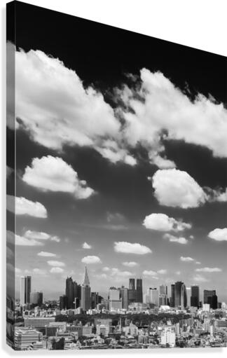 TOKYO 08 Canvas Print