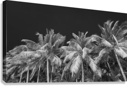 BORACAY 11 Canvas Print